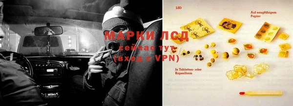 ПСИЛОЦИБИНОВЫЕ ГРИБЫ Аркадак