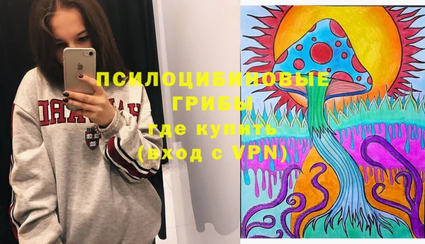 гашик Орск